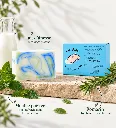 winter 2.webp
