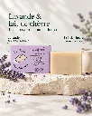 lavande 2.webp